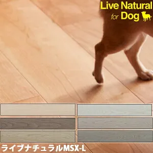朝日ウッドテック フローリング ライブナチュラル MSX-L ネダレス145 for Dog 1坪（3.16平米）/1梱 床暖房対応 厚み13.5mm 防音LL-40 犬にやさしい滑りにくさを実現 ハイジェニック仕様