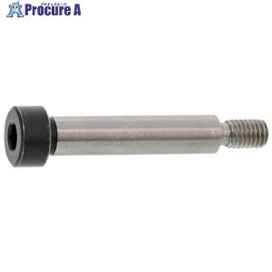 SUNCO ショルダーBT TSB 6.5 X 15 (100本入) A0-00-6000-0065-0150-00 1箱 ■▼241-3499 【送料都度見積】