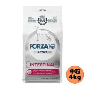 フォルツァ10 DOG インテスティナルアクティブ ミディアム 4kg ドッグフード ドライ 総合栄養食 療法食 消化器 胃腸 フォルツァディエチ 成犬用 中粒 中型犬 大型犬 犬用 お腹 消化不良