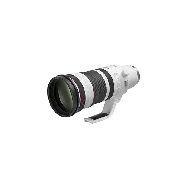 CANON キヤノン RF100-300LIS RF100-300mm F2.8 L IS USM 望遠ズームレンズ 6055C001