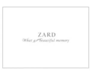 ZARD（ザード）坂井泉水「What a beautiful memory 2007」 パンフレット