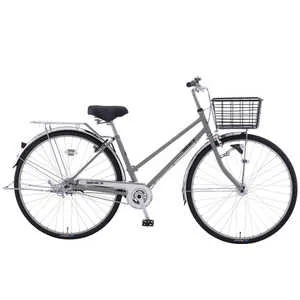 アサヒサイクル 自転車 ナイトアロー KNIGHT ARROW 27S [27インチ] マットチタンシルバー KAD27B