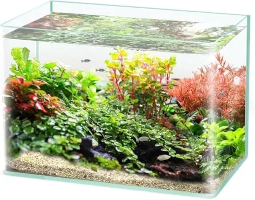 Kisigim 金魚水槽ガラス容器透明ガラス瓶デスクトップ水槽水槽水槽水槽水槽水槽小型水槽リビング水草造景亀の生態水槽リビングアクア生態水槽ガラス水槽リビングアクア (60x30x35CM)