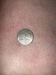 バイソン ジェファーソン ニッケル 2005 D