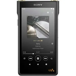 ソニー(SONY) ウォークマン 128GB WM1シリーズ NW-WM1AM2:アンドロイド搭載/USB-TtpeCケーブル対応/DS 送料無料
