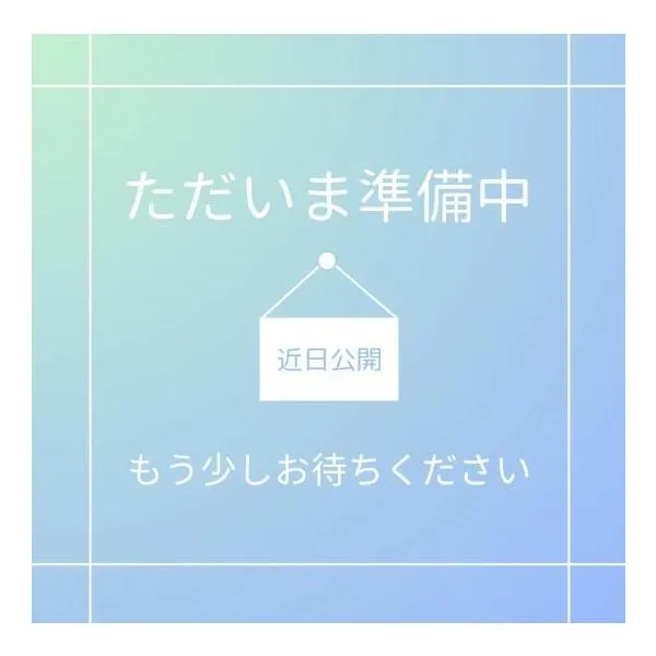 富士ソフト SIMフリー wi-fi ルーター dual band +F FS030W LTE 対応 microSIM FS030WMB1