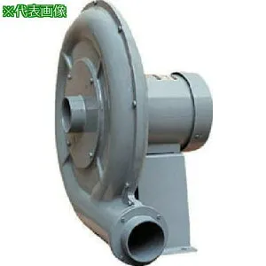 ■淀川電機 電動送風機 強力高圧ターボ型(耐熱型) TKDHシリーズ 単相100V (0.4kW) 50Hz 50Hz〔品番:TKDH3SL〕【1317044:0】[送料別途見積り][法人・事業所限定][外直送][店頭受取不可]