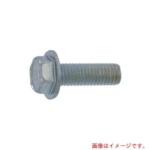 サンコーインダストリー（SUNCO） 三価ホワイト 10．9フランジBT 1種 セレート無し 6 X 10 （350本入り） 【品番：C0-00-1901-00600100-03】