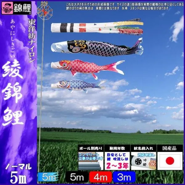 鯉のぼり 錦鯉 ANN0053 ノーマルセット 綾錦鯉 5m3匹 浪千鳥吹流し 139600240