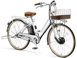 カジュナe ベーシックライン CB6B37 + 専用充電器