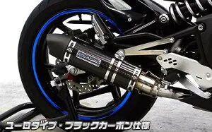 Ninja400R（ニンジャ）EBL-ER400B ダイナミックマフラー ブラックカーボン仕様 ユーロタイプ スリップオン ウイルズウィン（WirusWin）