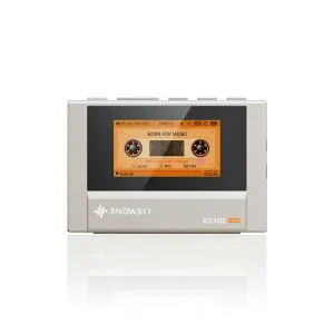 【4/25限定★抽選で最大100%ポイントバック！(要エントリー)】FIIO Snowsky ECHO MINI Titanium Gold デジタルオーディオプレーヤー DAP Bluetooth 5.3 micro CDカード バランス接続 レトロ フィーオ