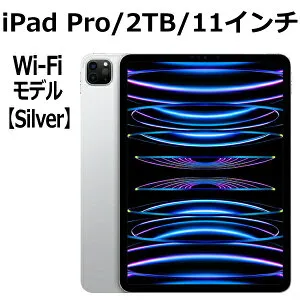 Apple iPad Pro 第4世代 2TB 本体 新品 11インチ シルバー M2 Wi-Fi MNXN3J/A アップル Liquid Retinaディスプレイ LiDAR USB-C 超広角カメラ 第四世代 11型