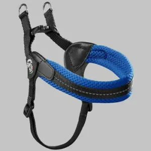 （ペット） TRE PONTI フィッビア アジャスタブルタイプ ソフトメッシュ ブルー 1号 LTP123 ペット 犬 猫 キャット ドック | 関連単語 水槽 熱帯魚 アイディア 便利 アイディアグッズ ドッグウ