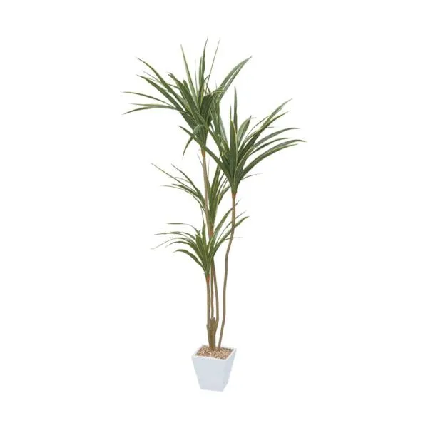 グリーンクロス 【別途送料】【個人宅不可】 ユッカポット145cm 6300029169 [1560-3668616]