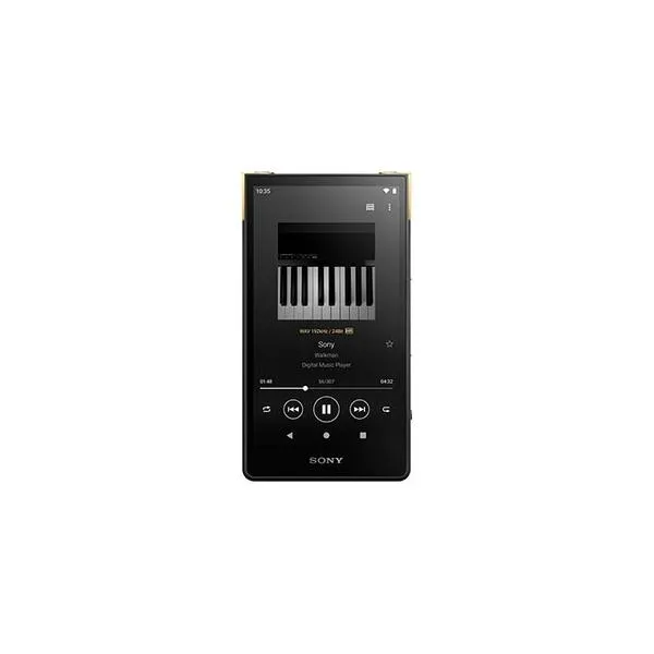 SONY WALKMAN NW-ZX707 Accessories