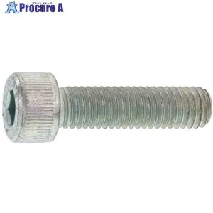 SUNCO 三価ホワイト CAP 日本鋲螺 24 × 140 (5本入) A0-00-000B-0240-1400-03 1箱 ■▼247-9535 【送料都度見積】