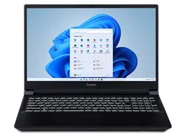 STYLE∞ Core i7 14650HX・RTX 4060・16GBメモリ・1TB NVMe M.2 SSD・15インチ フルHD・カスタマイズ対応・STYLE-15FX165-i7-RM4X [Office 2024 SET]