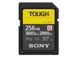 TOUGH SF-G256T [256GB]