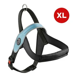 プリモ リフレクティブ XL スカイブルー ▼g ペット グッズ 犬 ドッグ アクセサリー ハーネス 胴輪 TRE PONTI LTP200 送料無料