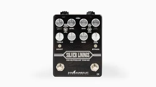 DSM & Humboldt Silver Linings 9.5*12*5cm 国内正規品