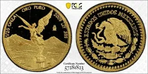 2009年-月 PCGS (ゴールドシールド) PR69DCAM 1/20オンス プルーフゴールド リベルタッド - 人口: 5