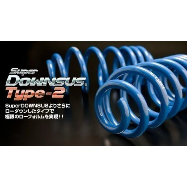 【送料無料】 エスペリア スーパーダウンサス タイプ2 / 三菱 タウンボックス DS64W ※4WD ターボ / Gスペシャル (H27/3～R1/6) ESB-2002