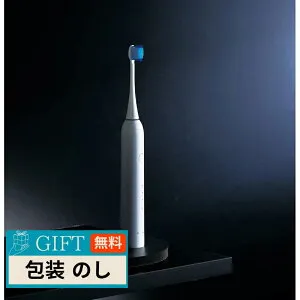 Panasonic パナソニック 音波振動 ハブラシ ドルツ EW-DM74-W ギフト プレゼント 贈り物 贈答 包装 熨斗 のし 無料 【LOI】