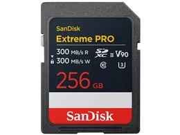 SDSDXDM-256G-GN4IN [256GB]
