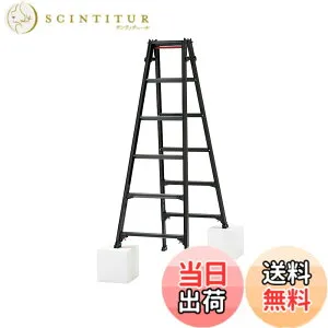 【送料無料】長谷川工業(Hasegawa) BLACK LABEL 伸縮式はしご兼用脚立(ワンタッチバー付) RYZB-18a (1.61~1.92m) (10911) 6段