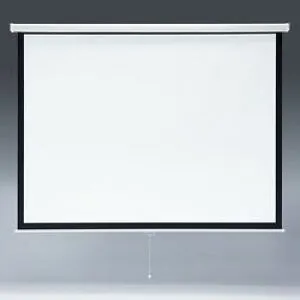 サンワサプライ SANWA SUPPLY プロジェクタースクリーン(吊り下げ式) 103型 PRS-TS103 メーカー在庫品