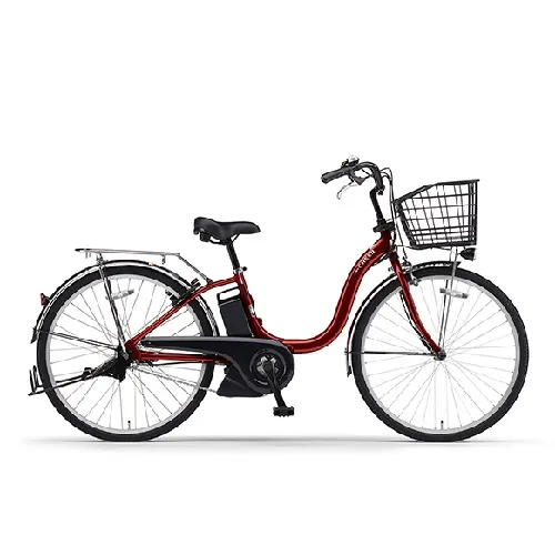 PAS Cheer PA24CH 2026年モデル + 専用充電器