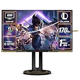 AGON Pro AG275QXL/11 [27インチ Black&Gold]