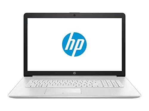 HP 17 ビジネスノートパソコン - Linux Mint Cinnamon - Intel Quad-Core i5-10210U、32GB RAM、1TB PCIe NVMe SSD + 1TBストレージHDD、17.3インチHD+(1600x900