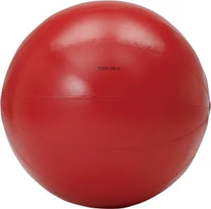 DANNO （ダンノ） 学校体育器具 器具・備品 大玉100レッド 【レッド】 D-7500R 器具 メンズ・レディース 男性用・女性用 淡野製作所 赤 20 AC-1 {SK}