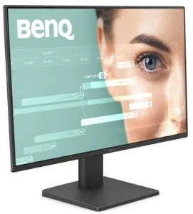 BenQ｜ベンキュー 液晶ディスプレイ(23.8型/IPS/FullHD 1920×1080/100Hz/5ms/HDMIv1.4/DPv1.2/VESA) GW2491