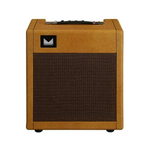 Morgan Amplification JS12 - Josh Smith Signature Combo