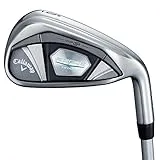 ROGUE STAR アイアン GW [Speeder EVOLUTION for CW 60 フレックス：R]