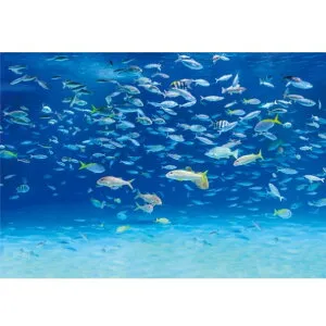 サンゲツ デジタルプリント壁紙 リザーブ（HIGH GRAFICA）風景写真 サンシャイン アクアリウム#1 Lサイズ（4巾） W3600mm×H2500mm HZ-7037L 1セット