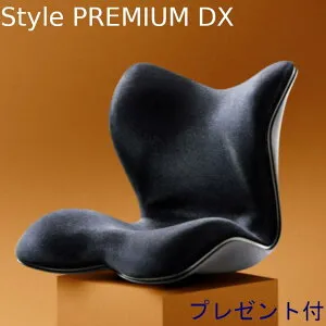 【送料無料】【MTG正規品】 スタイルプレミアムデラックス Style PREMIUM DX【プレミアムプレゼント付き】骨盤矯正 リッチブラック カイロプラティック ボディメイクシート MTG メーカー保証1年