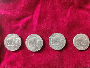 2005 D ジェファーソン バイソン ニッケル 良好な状態