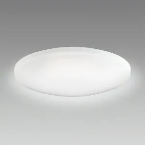 【エントリーで最大全額ポイント還元｜5/6まで】 ホタルクス｜HotaluX LEDシーリングライト HLDC12311SG [12畳 /昼光色～電球色 /リモコン付属]【newlife_campaign_g】