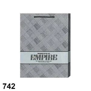 紙袋 手提げ ビニールかぶせの紙袋 高級手提げ紙袋 ロングデラックス 全5種 1セット10枚 W330×D110×H440mm 表面ビニールかぶせ ラッピング用品 包装 ラッピング袋 ペーパーバッグ 無地 手提げ紙