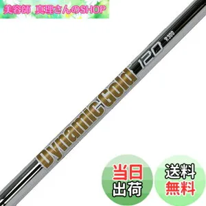 【送料無料】Truetemper(トゥルーテンパー) シャフト Dynamic Gold ダイナミックゴールド120 アイアンシャフト 番手 ウェッジ X100 Flex 単品 DG120IXW サイズ：フリーサイズ