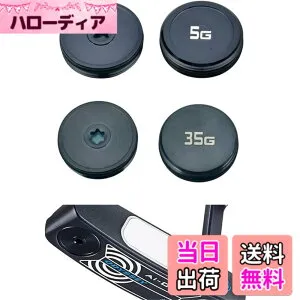 【送料無料】2024 オデッセイ Ai-ONE DOUBLE WIDE DB JAILBIRD MINI DB ROSSIE S パター対応 ウェイト 2個 セット (30g)