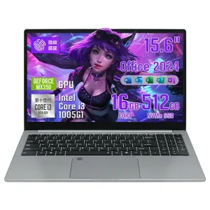 ノートパソコン Office2024 Windows11 pc/Core i3-1005G1/NVIDIA MX350（専用グラフィックカード）/16GBメモリ(増設可能)/1080P/指紋認証&テンキー付き/Type-C/有線LAN/HDMI/USB3.0/USB2.0 在宅勤務・オフィス・事